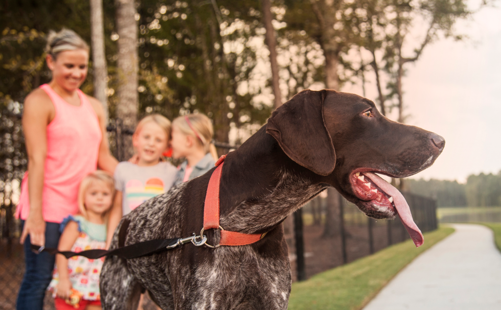 Dog Park | Woodson's Reserve